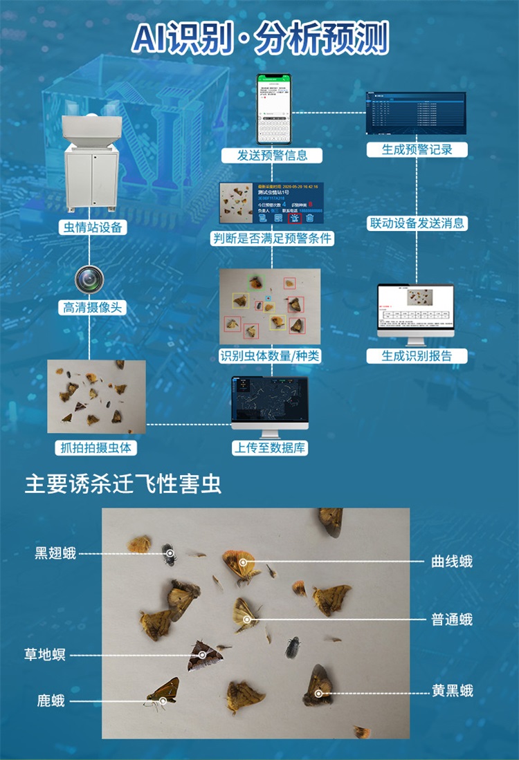 图片关键词