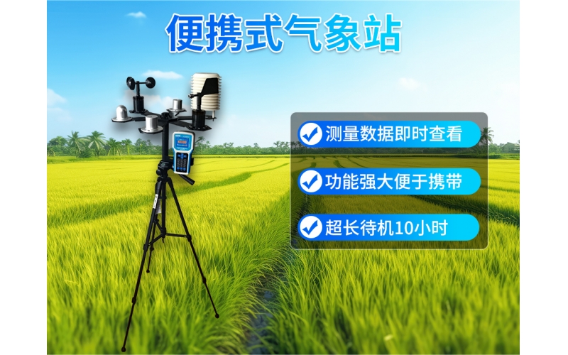便携式气象站 多参数多要素简便精准