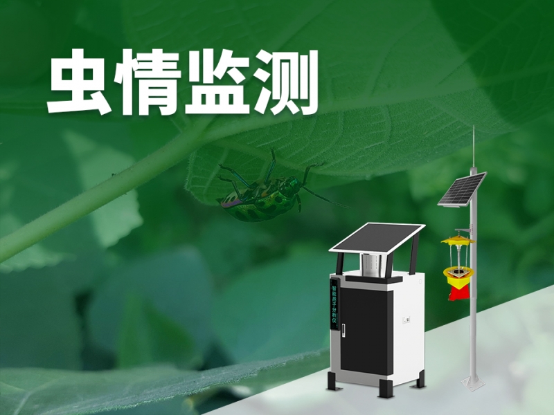 虫情监测
