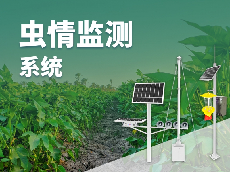 虫情监测系统