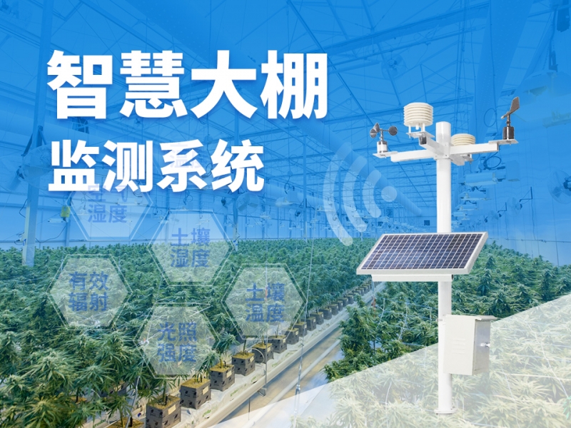 智慧大棚监测系统